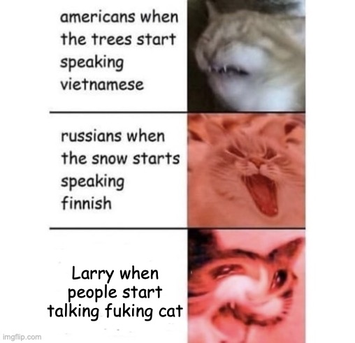 Snow speaking Finnish | Larry when people start talking fuking cat | image tagged in snow speaking finnish | made w/ Imgflip meme maker