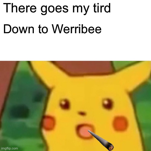 Tird | There goes my tird; Down to Werribee | image tagged in memes,surprised pikachu | made w/ Imgflip meme maker