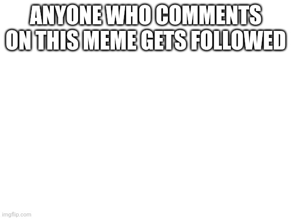 Blank White Template | ANYONE WHO COMMENTS ON THIS MEME GETS FOLLOWED | image tagged in backup tag | made w/ Imgflip meme maker