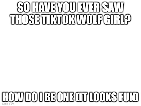 SO HAVE YOU EVER SAW THOSE TIKTOK WOLF GIRL? HOW DO I BE ONE (IT LOOKS FUN) | made w/ Imgflip meme maker