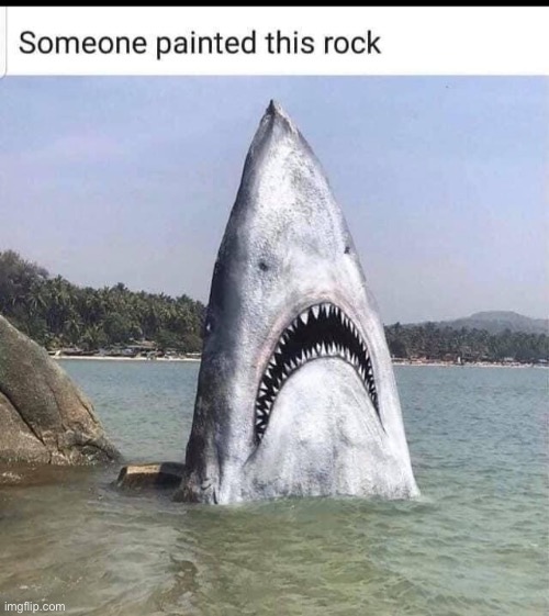 A very talented troll artist | image tagged in memes,shark,funny | made w/ Imgflip meme maker
