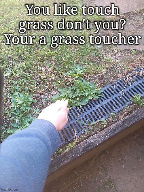 You like touch grass don't you?
Your a grass toucher | image tagged in grass,toucher,why are you reading this | made w/ Imgflip meme maker