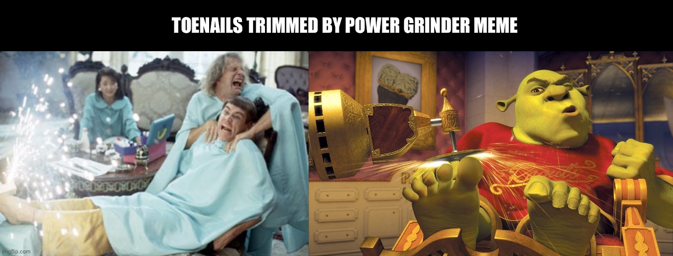 Toenails trimmed by power grinder meme | TOENAILS TRIMMED BY POWER GRINDER MEME | image tagged in shrek,dumb and dumber | made w/ Imgflip meme maker
