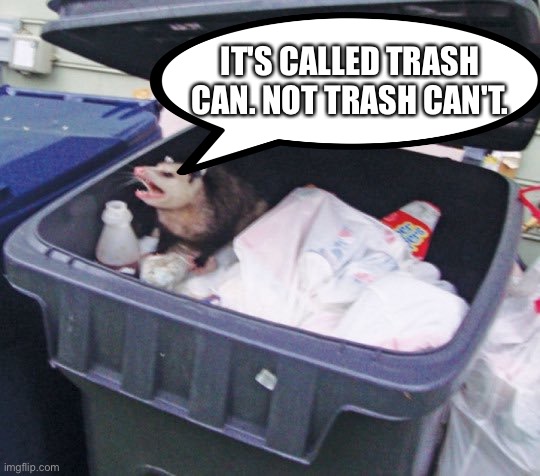 Trash can't | IT'S CALLED TRASH CAN. NOT TRASH CAN'T. | image tagged in trash possum | made w/ Imgflip meme maker