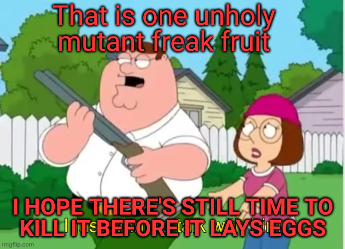 I just want to talk with him | That is one unholy mutant freak fruit I HOPE THERE'S STILL TIME TO
KILL IT BEFORE IT LAYS EGGS | image tagged in i just want to talk with him | made w/ Imgflip meme maker