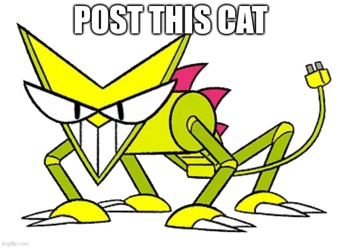 POST THIS CAT | made w/ Imgflip meme maker