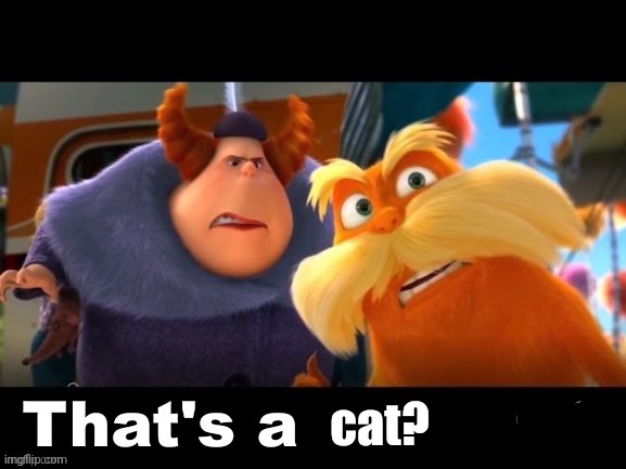 Lorax That’s a woman? | cat? | image tagged in lorax that s a woman | made w/ Imgflip meme maker