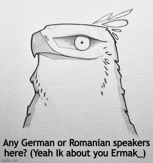 Trying to find someone to practice language with | Any German or Romanian speakers here? (Yeah Ik about you Ermak_) | image tagged in try me hawk | made w/ Imgflip meme maker