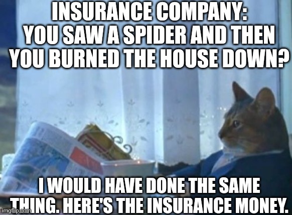 Cat insurance company | INSURANCE COMPANY:
YOU SAW A SPIDER AND THEN YOU BURNED THE HOUSE DOWN? I WOULD HAVE DONE THE SAME THING. HERE'S THE INSURANCE MONEY. | image tagged in memes | made w/ Imgflip meme maker