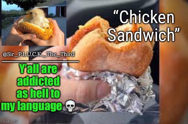 Chicken sandwich (thanks behapp) | Y’all are addicted as hell to my language 💀 | image tagged in chicken sandwich thanks behapp | made w/ Imgflip meme maker