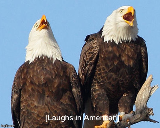 laughs in american | image tagged in laughs in american | made w/ Imgflip meme maker