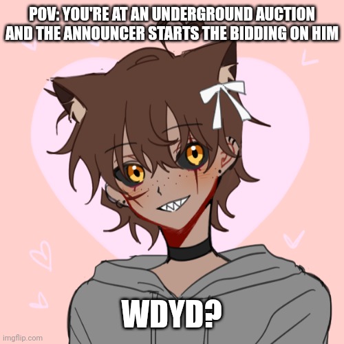 No killing him, no joke ocs, no erp, romance is allowed, male preferred | POV: YOU'RE AT AN UNDERGROUND AUCTION AND THE ANNOUNCER STARTS THE BIDDING ON HIM; WDYD? | made w/ Imgflip meme maker