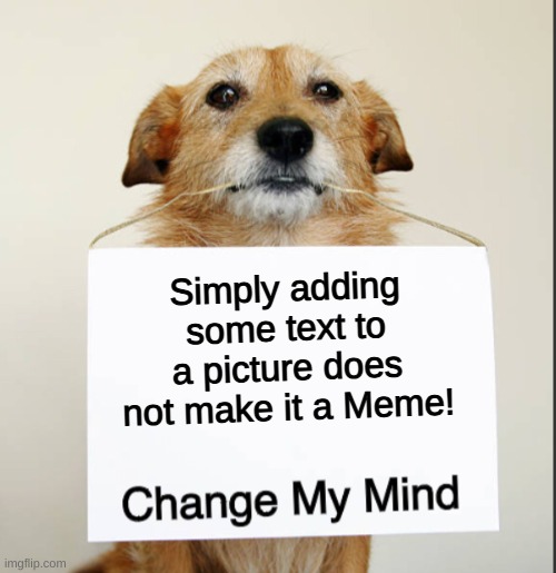 Pictures and text | Simply adding some text to a picture does not make it a Meme! | image tagged in change my mind dog | made w/ Imgflip meme maker