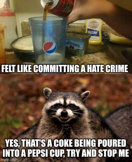 i like to watch the world burn MWAHHAHAHAHAH and it's the zero sugar MWAHAHAHAHAHAH | FELT LIKE COMMITTING A HATE CRIME; YES, THAT'S A COKE BEING POURED INTO A PEPSI CUP, TRY AND STOP ME | image tagged in memes,evil plotting raccoon,pepsi,coke,hate crime | made w/ Imgflip meme maker