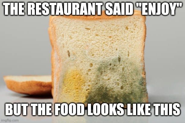THE RESTAURANT SAID "ENJOY" BUT THE FOOD LOOKS LIKE THIS | made w/ Imgflip meme maker