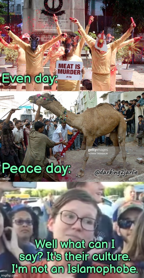Liberal Hypocrisy | Even day:; Peace day:; @darking2jarlie; Well what can I say? It's their culture. I'm not an Islamophobe. | image tagged in liberal logic,liberal hypocrisy,islam,animals,animal rights,religion of peace | made w/ Imgflip meme maker