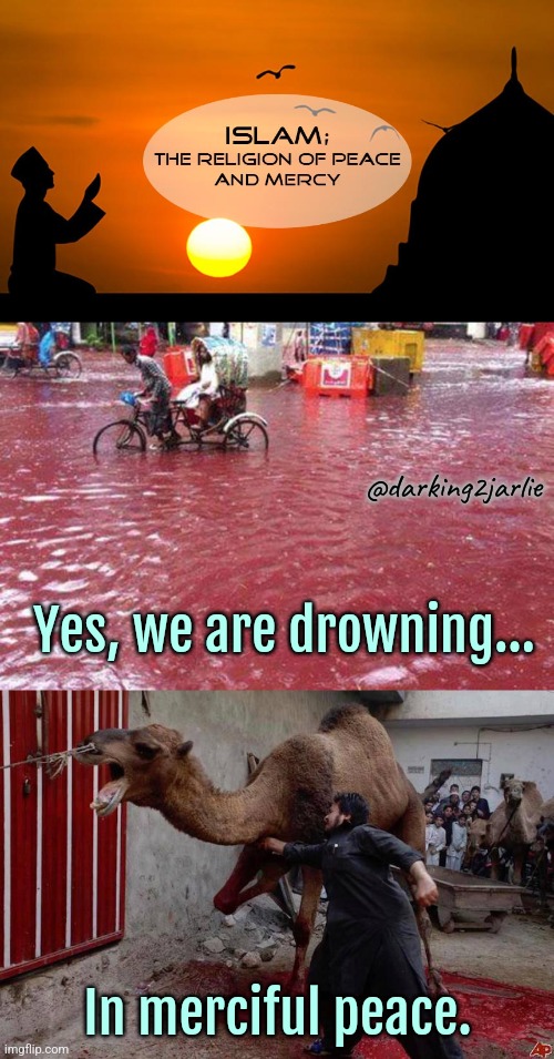Mercy and Peace | @darking2jarlie; Yes, we are drowning... In merciful peace. | image tagged in religion of peace,islam,animals,animal rights,liberals,liberal logic | made w/ Imgflip meme maker