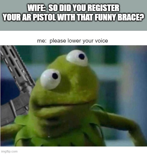 Kermit AR | WIFE:  SO DID YOU REGISTER YOUR AR PISTOL WITH THAT FUNNY BRACE? me:  please lower your voice | image tagged in kermit ar,ar15 | made w/ Imgflip meme maker