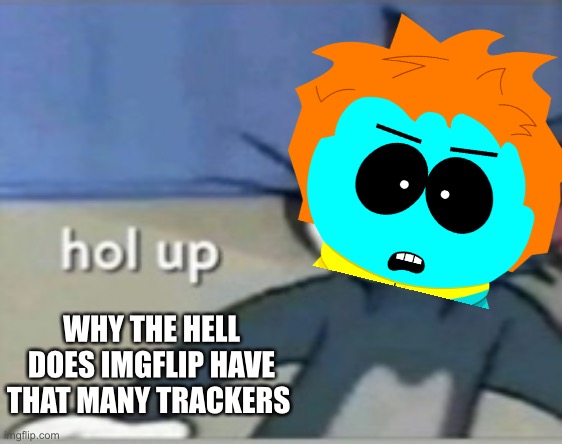 I might post the privacy report of that about it later | WHY THE HELL DOES IMGFLIP HAVE THAT MANY TRACKERS | made w/ Imgflip meme maker