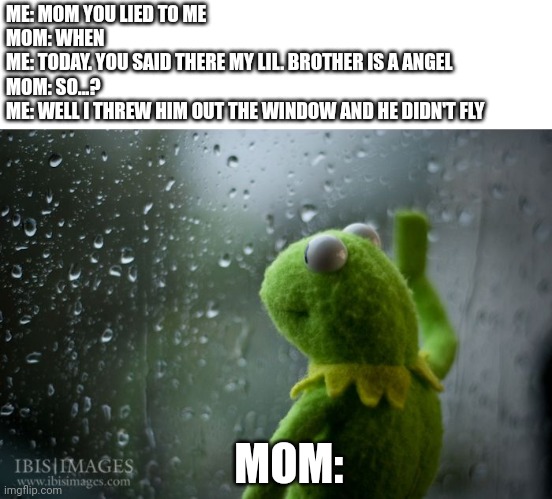 Mom Lied | ME: MOM YOU LIED TO ME
MOM: WHEN
ME: TODAY. YOU SAID THERE MY LIL. BROTHER IS A ANGEL
MOM: SO...?
ME: WELL I THREW HIM OUT THE WINDOW AND HE DIDN'T FLY; MOM: | image tagged in kermit window,dank memes,meme,dark humor,mom | made w/ Imgflip meme maker