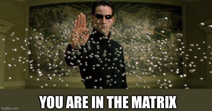 Neo bullet stop | YOU ARE IN THE MATRIX | image tagged in neo bullet stop | made w/ Imgflip meme maker