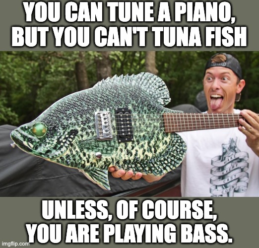 Tune | YOU CAN TUNE A PIANO, BUT YOU CAN'T TUNA FISH; UNLESS, OF COURSE, YOU ARE PLAYING BASS. | image tagged in bad pun | made w/ Imgflip meme maker