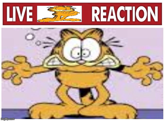 Live Garfield reaction (scared/shocked edition) | image tagged in garfield,live reaction | made w/ Imgflip meme maker