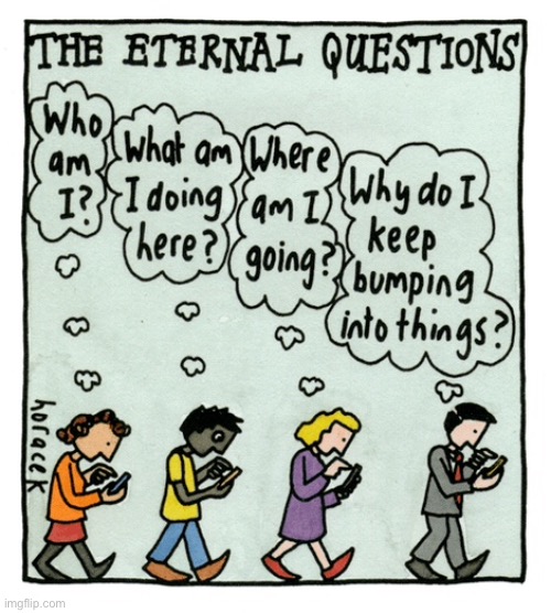 That eternal question | image tagged in eternal question,who,what,where,why,comics | made w/ Imgflip meme maker