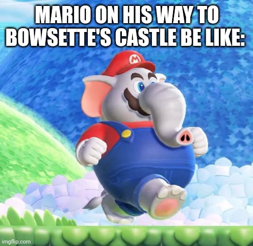 Elephant mario run | MARIO ON HIS WAY TO BOWSETTE'S CASTLE BE LIKE: | image tagged in memes,elephant,run | made w/ Imgflip meme maker