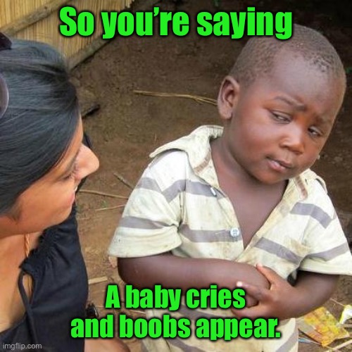 So you’re saying | So you’re saying; A baby cries and boobs appear. | image tagged in memes,third world skeptical kid,you tell me,baby cries,boobs appear,fun | made w/ Imgflip meme maker