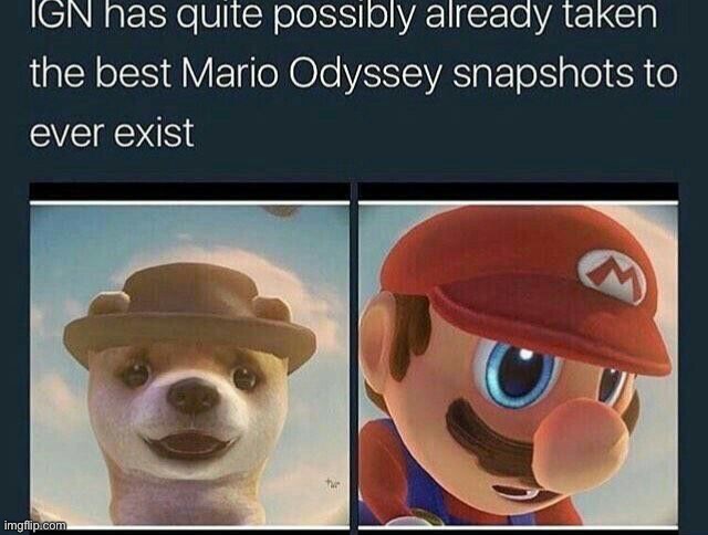 The right one is the best | image tagged in mario,doggo,cursed,nintendo | made w/ Imgflip meme maker