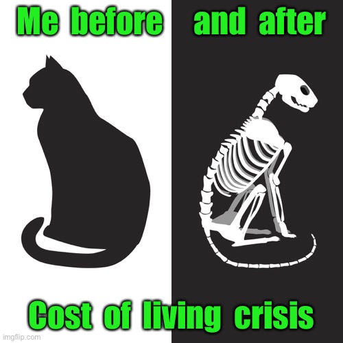 Me before and after | Me  before     and  after; Cost  of  living  crisis | image tagged in cost of living crisis,before,during,and after | made w/ Imgflip meme maker