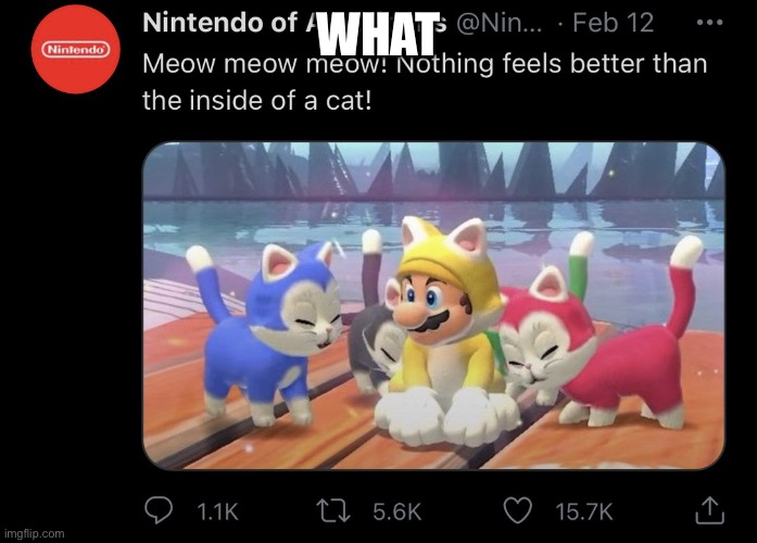 Um… | WHAT | image tagged in what,nintendo,cursed,funny,memes | made w/ Imgflip meme maker