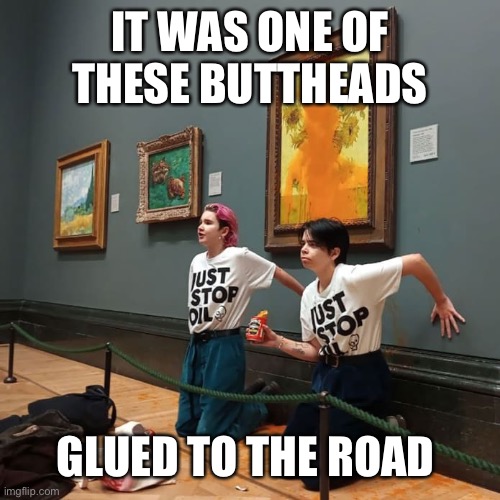 Climate Activist | IT WAS ONE OF THESE BUTTHEADS GLUED TO THE ROAD | image tagged in climate activist | made w/ Imgflip meme maker