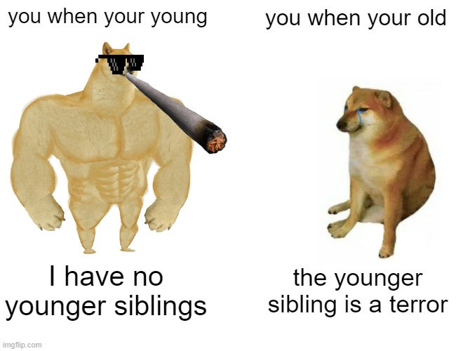 Buff Doge vs. Cheems Meme | you when your young; you when your old; I have no younger siblings; the younger sibling is a terror | image tagged in memes,buff doge vs cheems | made w/ Imgflip meme maker