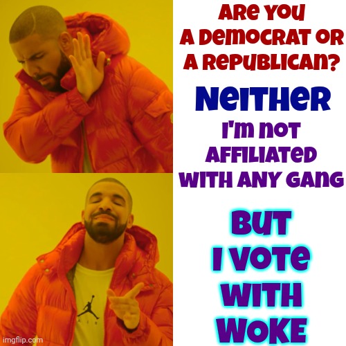 Damn Those Pesky Critical Thinking Skills | Are you a democrat or a republican? But I vote with WOKE; I'm not affiliated with ANY gang; Neither | image tagged in memes,drake hotline bling,critical thinking skills,scumbag republicans,american politics,lock him up | made w/ Imgflip meme maker