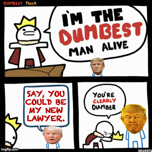 So ... is that a no? | SAY, YOU
COULD BE
MY NEW
LAWYER. | image tagged in dumbest man alive,memes,trump | made w/ Imgflip meme maker