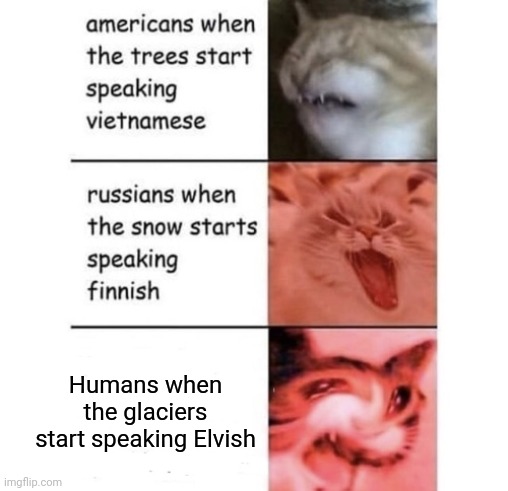 Snow speaking Finnish | Humans when the glaciers start speaking Elvish | image tagged in snow speaking finnish | made w/ Imgflip meme maker