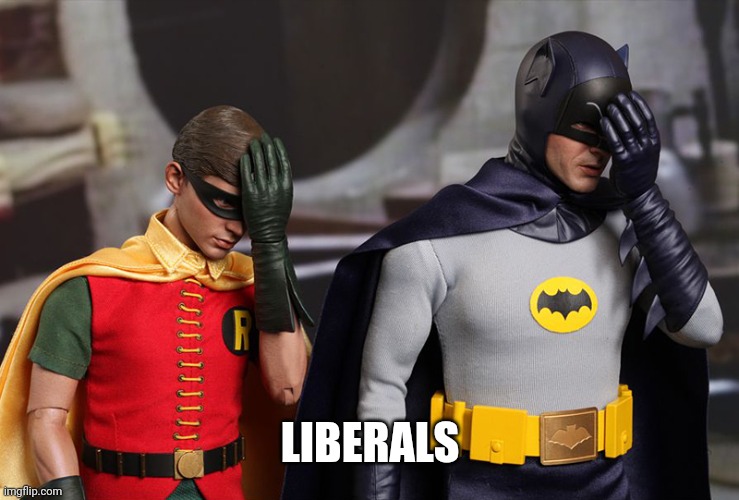 Batman and Robin facepalm  | LIBERALS | image tagged in batman and robin facepalm | made w/ Imgflip meme maker