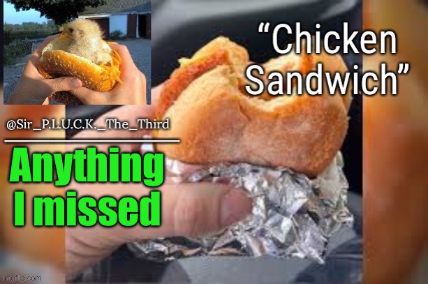 Chicken sandwich (thanks behapp) | Anything I missed | image tagged in chicken sandwich thanks behapp | made w/ Imgflip meme maker