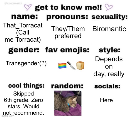 Yes | Biromantic; That_Torracat
(Call me Torracat); They/Them preferred; Transgender(?); Depends on day, really; 🏳️‍🌈🔪🍞; Here; Skipped 6th grade. Zero stars. Would not recommend. | image tagged in get to know me | made w/ Imgflip meme maker