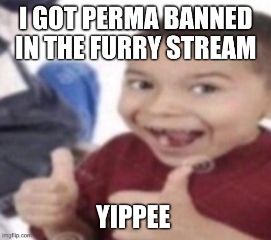 I started dissing a bunch of people there and the little snowflakes seemed to have a skill issue | I GOT PERMA BANNED IN THE FURRY STREAM; YIPPEE | image tagged in thumbs up kid | made w/ Imgflip meme maker