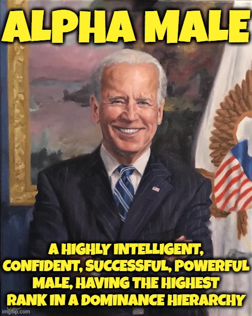 ALPHA MALE | ALPHA MALE; A HIGHLY INTELLIGENT, CONFIDENT, SUCCESSFUL, POWERFUL MALE, HAVING THE HIGHEST RANK IN A DOMINANCE HIERARCHY | image tagged in alpha male,leader,manager,boss,chief,president | made w/ Imgflip meme maker