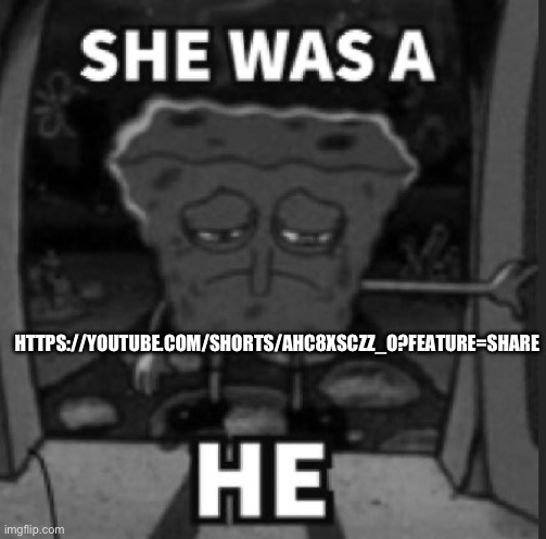 She was a he | HTTPS://YOUTUBE.COM/SHORTS/AHC8XSCZZ_O?FEATURE=SHARE | image tagged in she was a he | made w/ Imgflip meme maker