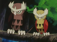 High Quality two noctowls Blank Meme Template
