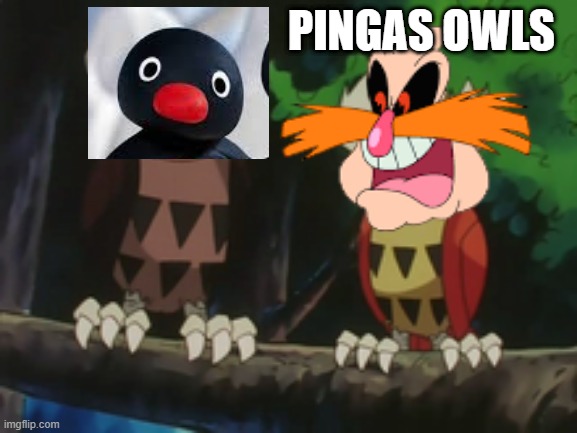pingasowls pokemon parody | PINGAS OWLS | image tagged in two noctowls,pingu,pingas,owls,pokemon | made w/ Imgflip meme maker