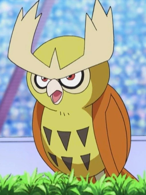 High Quality noctowl ready to battle Blank Meme Template