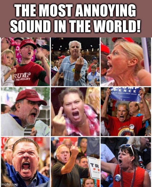 Triggered Trump supporters | THE MOST ANNOYING SOUND IN THE WORLD! | image tagged in triggered trump supporters | made w/ Imgflip meme maker