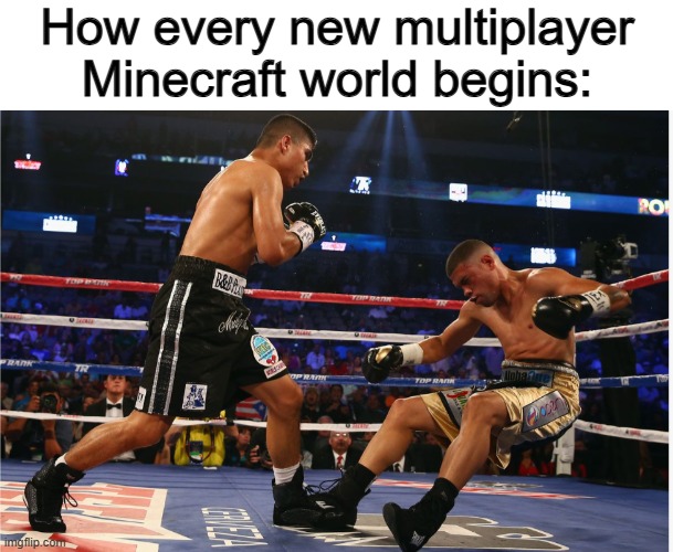 Forget grinding wood, when we can grind each other's skulls XD | How every new multiplayer Minecraft world begins: | image tagged in boxing match | made w/ Imgflip meme maker