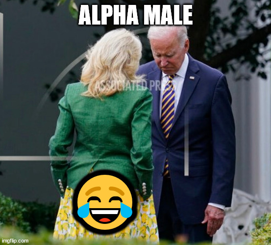 ALPHA MALE ? | made w/ Imgflip meme maker